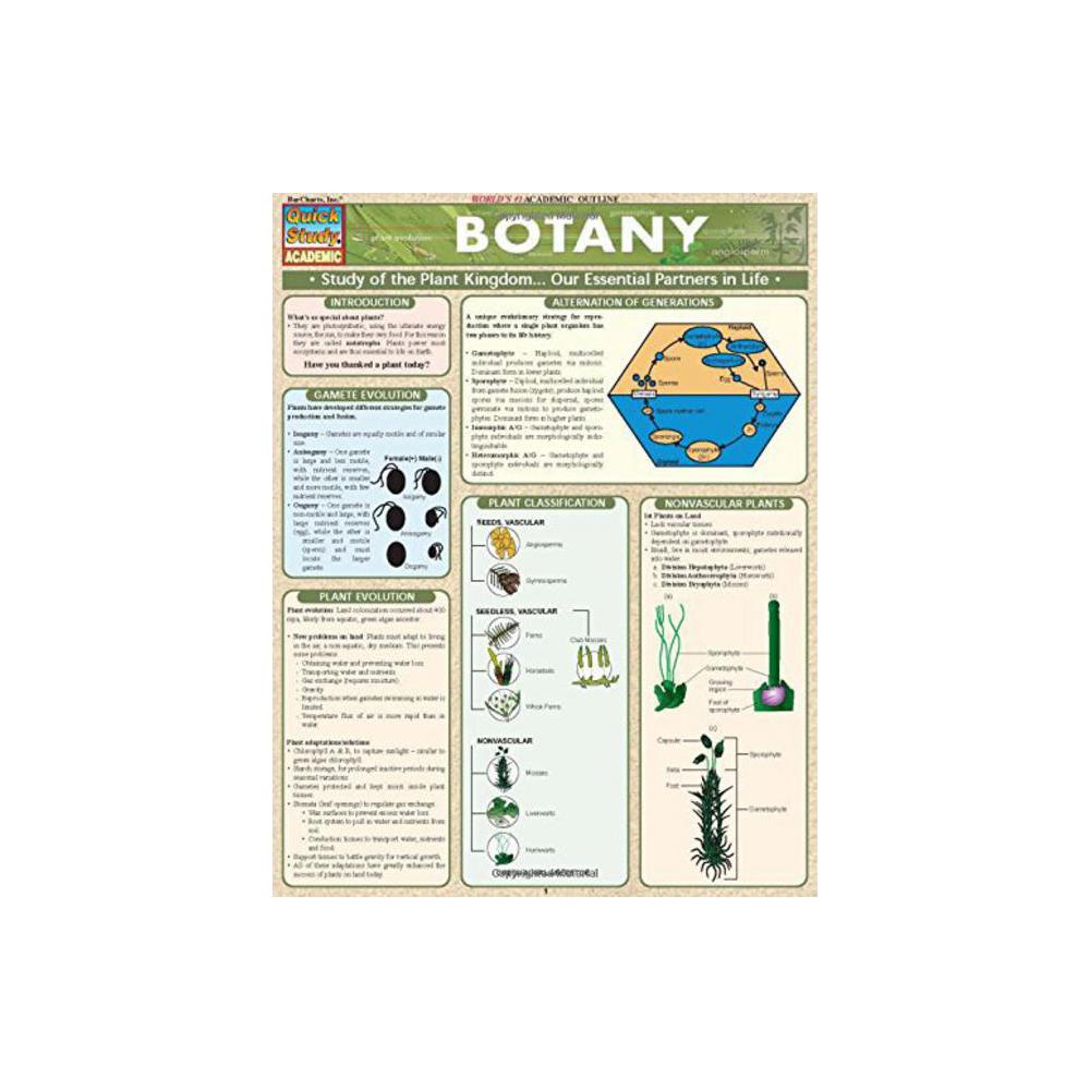 Barchart, Study Guide, Botany